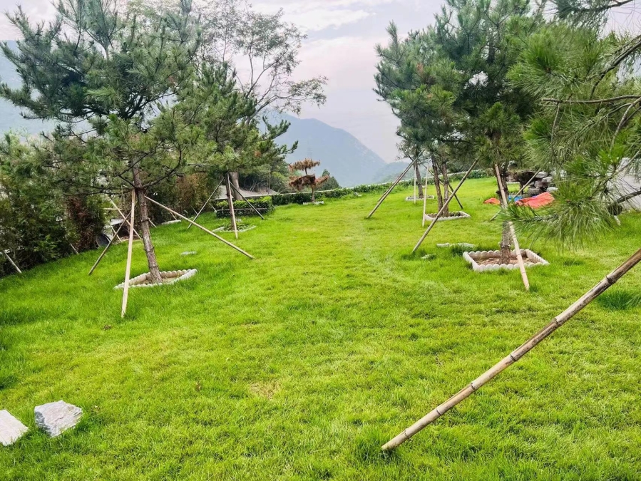 长城华人怀思堂内的小园区景色展示